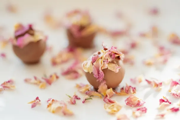 Kaszinó Generation VIP Android/iOS Alkalmazás